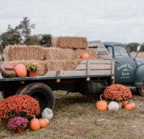 Round Tree Farm is ready for fall!